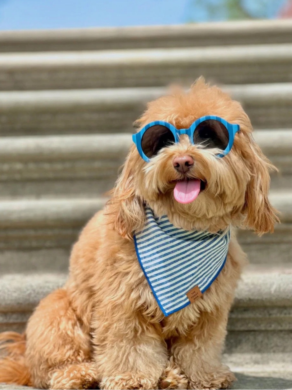 The Foggy Dog Lake Blue Stripe Dog Bandana